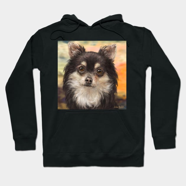 Cute Furry Brown and White Chihuahua on Orange Background Hoodie by ibadishi